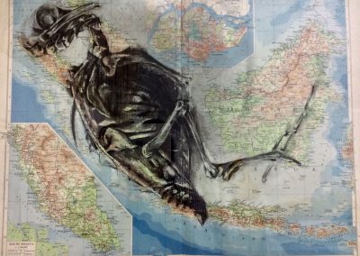 The bones of my ancestors 1 (2015)