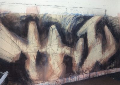 Weathering the storm (2016)