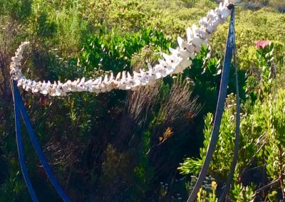 Over extended (2017)